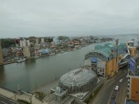 img (5)